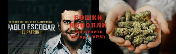 не бодяженный Дмитриев
