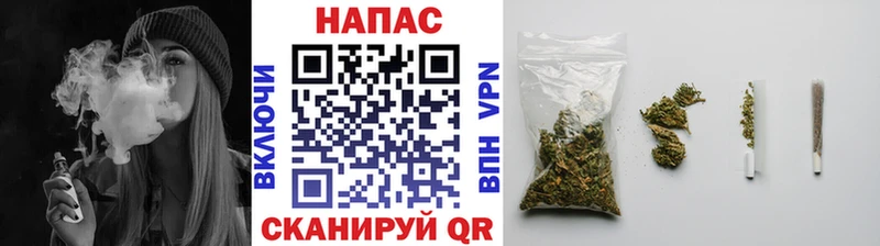 Каннабис планчик  Купить закладки  Великий Устюг 